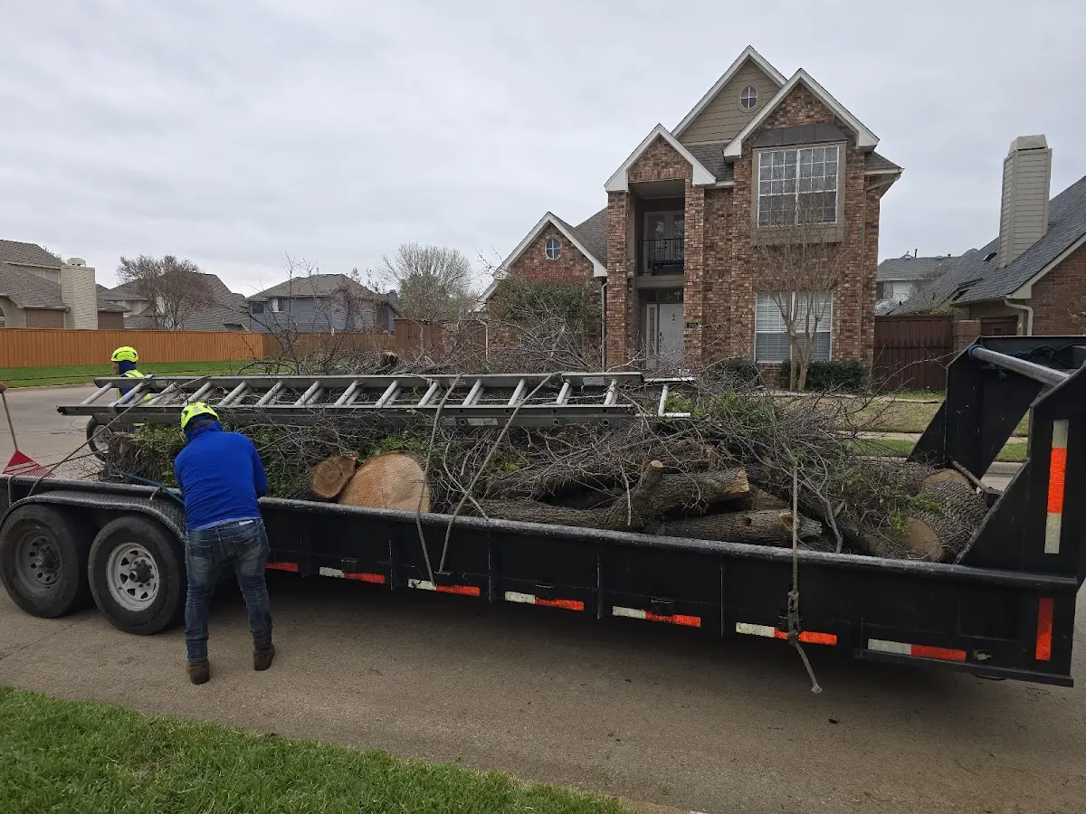 Expert Tree Fertilization with proper safety equipment in Vincent